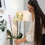 Orchidey opäť rozkvitnú: čo musíte urobiť práve teraz
